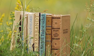 风流云散是什么意思（风流云散的意思和造句）