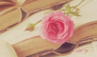 另请高明是什么意思（另请高明是什么意思解释）