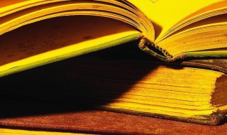 千金之裘非一狐之腋是什么意思 千金之裘非一狐之腋是什么意思?