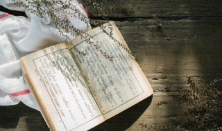 水流湿火就燥是什么意思(水流湿,火就燥)