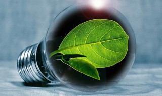 双控政策是指什么（双控政策是指什么对化学的影响）