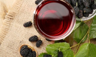 桑葚的做法（桑葚的做法有几种）