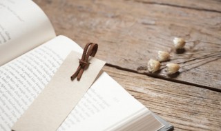 攻其一点不及其余是什么意思 围而不攻是什么意思