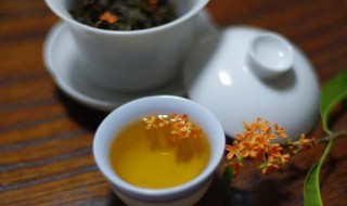 桂花茶的功效与作用及泡法（桂花茶的功效与作用及泡法大全）