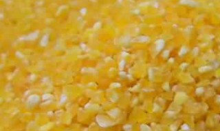 玉米糁的做法大全家常（玉米羹的家常做法）
