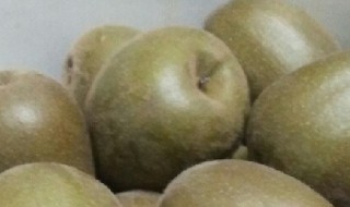 猕猴桃泡酒的做法大全 野生猕猴桃泡酒的做法大全