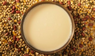 儿童五谷豆浆怎么搭配（儿童五谷豆浆怎么搭配好）