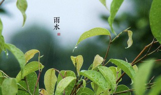 关于雨水节气的古诗词(关于雨水节气的古诗词有哪些)