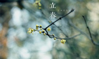 立春几点钟开始 立春时间是多少点钟