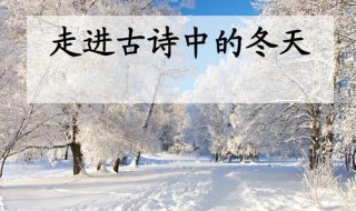 小学生冬天的古诗(小学生冬天的古诗有哪些)