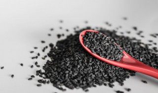 黑芝麻核桃牛奶 黑芝麻核桃牛奶的功效与作用