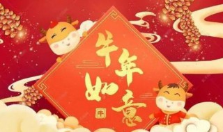 春节领导祝福短信（春节给领导祝福短信）