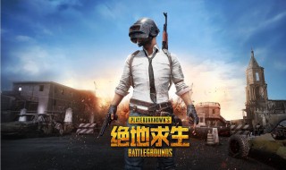 绝地求生情侣名字（绝地求生情侣名字两个字）