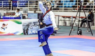 跆拳道段位颜色 跆拳道段位颜色及含义