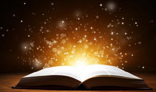 照的组词（照的组词二年级上册）