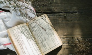 算尽锱铢的意思（尽锱铢的尽）