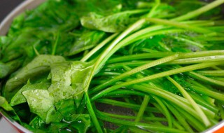 菠菜的功效与作用禁忌菠菜做法 菠菜的吃法做法与功效