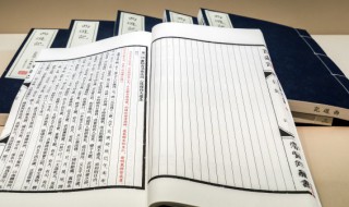 有心有意的意思（有心有意的意思改成一个字）