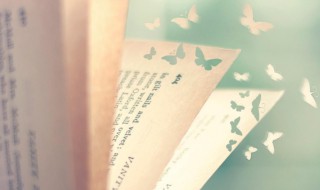 市侩圆滑是什么意思 市侩圆滑怎么读