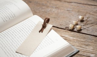 袍的组词（袍的组词是什么）