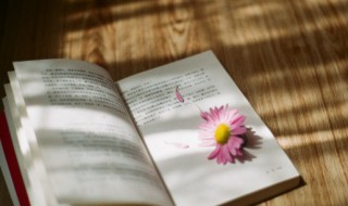 匣的组词 嗜的组词