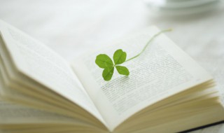 圹怎么读 圹埌怎么读