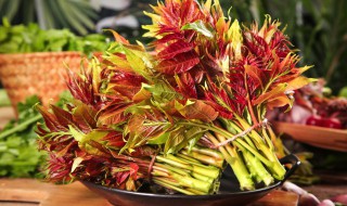 香椿炒鸡蛋怎么做好吃窍门（香椿炒鸡蛋怎么做最好吃）