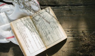 挦章撦句的意思 摛章绘句的意思