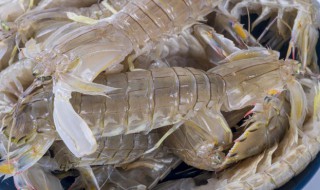 腌虾爬子的做法 腌虾爬子的做法可以放很久