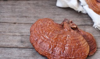 树舌灵芝的功效与作用及禁忌（树舌灵芝的功效与作用食用方法及副作用孓禁忌）