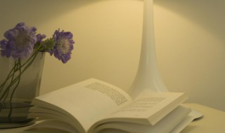 猪突豨勇的意思（猪突豨勇的意思是什么）