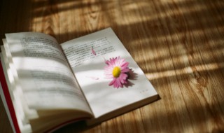 不见原文翻译（见与不见的原文）