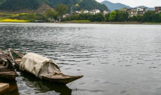 溪兴原文翻译（溪居即事和溪兴）