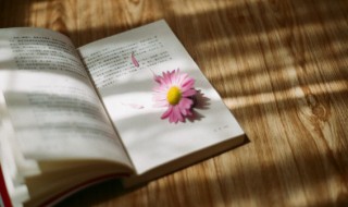 木兰花乙卯吴兴寒食原文翻译 张先《木兰花·乙卯吴兴寒食》