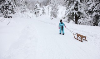 看到雪景的心情句子（看到雪景的心情句子图片）