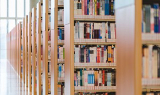 秋蕊香帘幕疏疏风透原文翻译 晚秋风紧晓霜严香阵飘飘透竹帘翻译