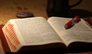 夸夸而谈的意思 夸夸而谈的意思和造句