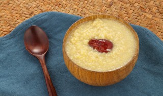 小米加什么煮粥最养胃（小米搭配什么煮粥最养胃）