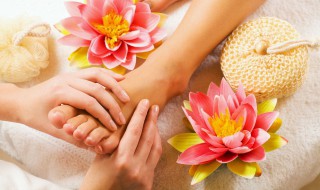 脚英语怎么读 脚英语怎么读音发音