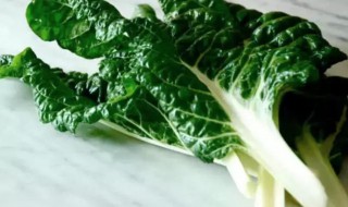 炒牛皮菜的做法（炒牛皮菜怎么做好吃）