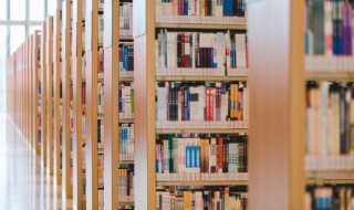 关于九九重阳节的诗句 关于九九重阳节的诗句大全