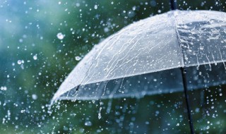 关于秋雨的作文 关于秋雨的作文500字