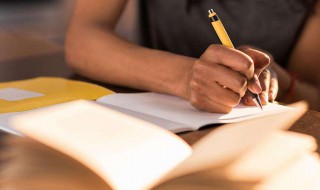 关于小说的作文（关于小说的作文800字）