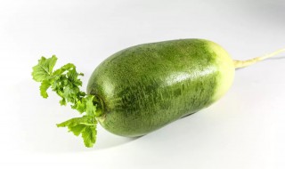 青萝卜不能和什么一起吃 青萝卜不能和什么一起吃相克