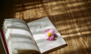 如人饮水冷暖自知这句话什么意思（如人饮水冷暖自知下一句是什么）