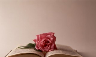 花攒锦聚的意思 花攒锦聚什么意思