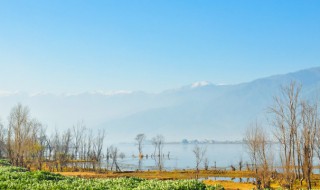 发展湿地生态游的意义 发展湿地生态旅游的意义