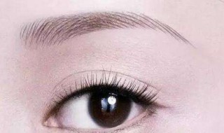 眉毛的作用是什么啊 眉毛都有什么作用