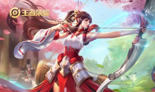 王者荣耀英雄克制怎么打 王者荣耀英雄克制怎么打开