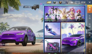 和平精英怎么免费抽特斯拉 和平精英怎么抽特斯拉最划算